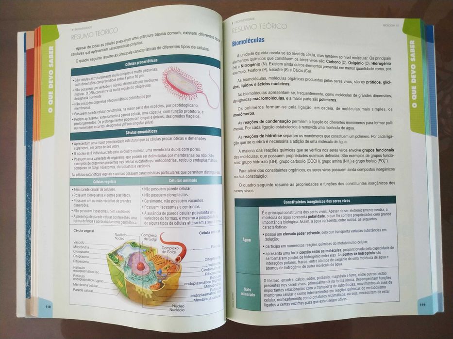 Biologia e Geologia 10