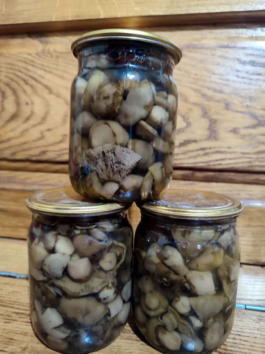 Мариновані маслюки та зеленушки 2025 р