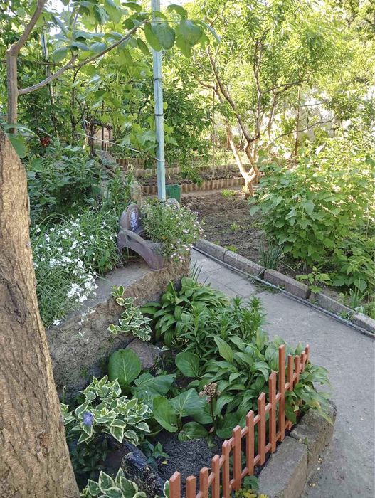 Продаж будинку по вул. Адмірала Ушакова СЕРТИФІКАТ