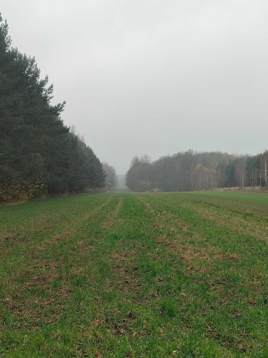 Ziemia rolna 2.4h