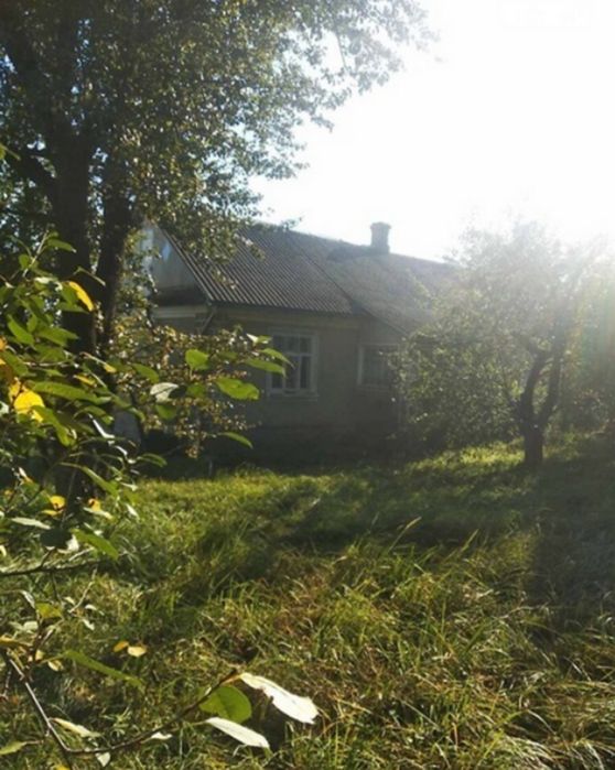 Продаж 1 поверхового будинку в м. Шумськ