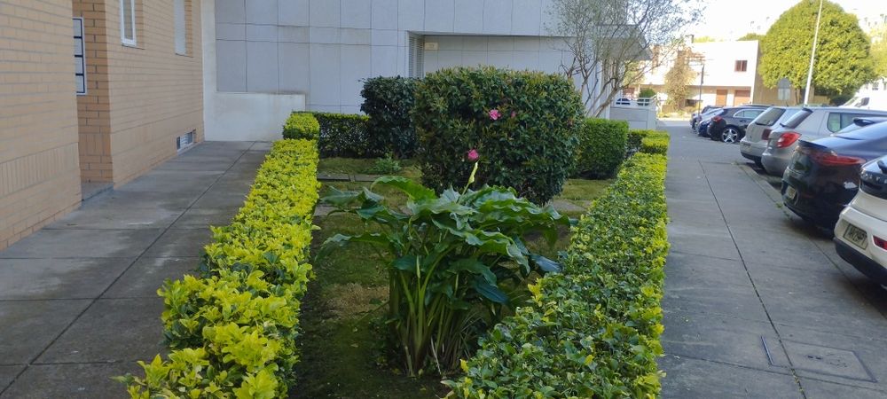 Serviços de jardinagem