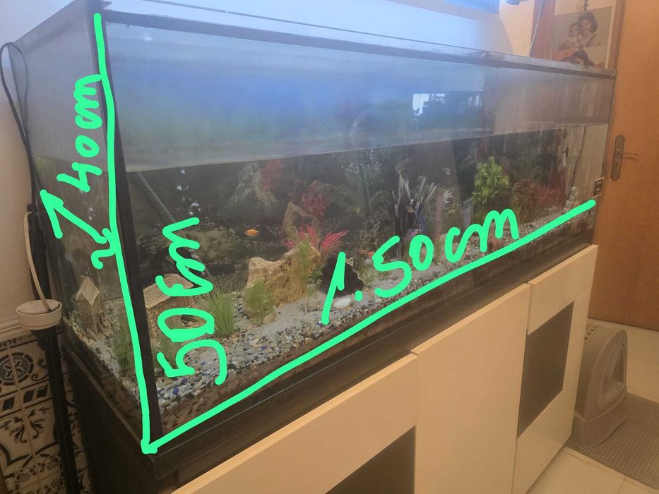 Aquário (Aceito propostas)