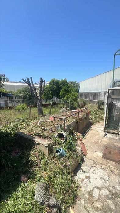 Servicos de jardinagem e limpeza de terrenos.
