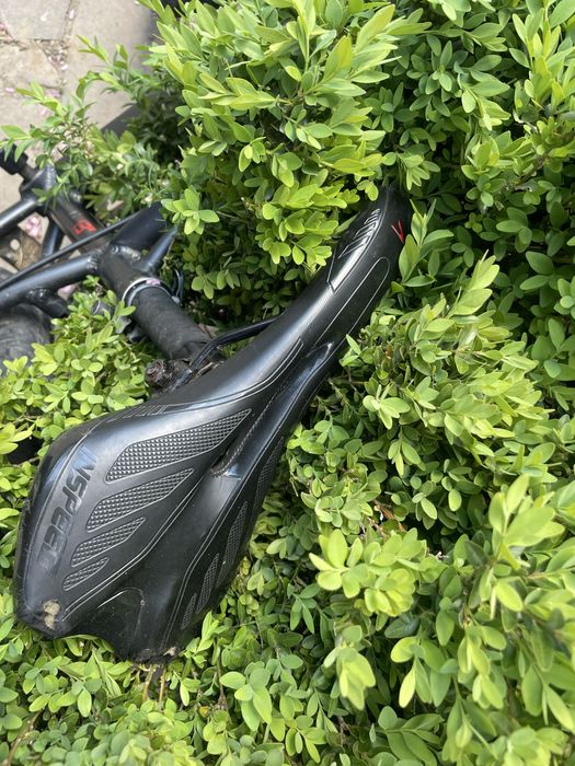 Formula Blackwood AM DD 26" 2022