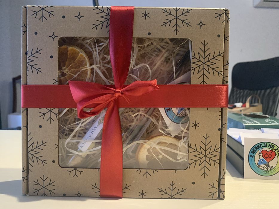 Zestaw naukowy dla dzieci