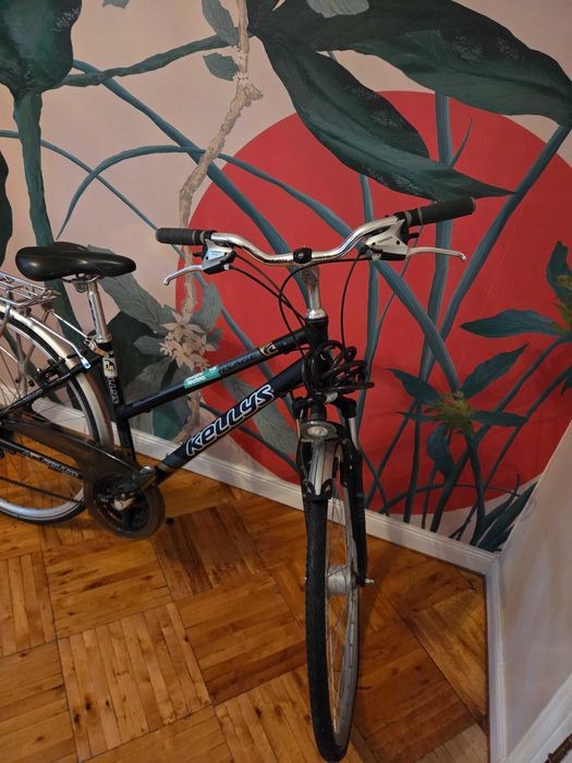 Rower Kellys Visage 17