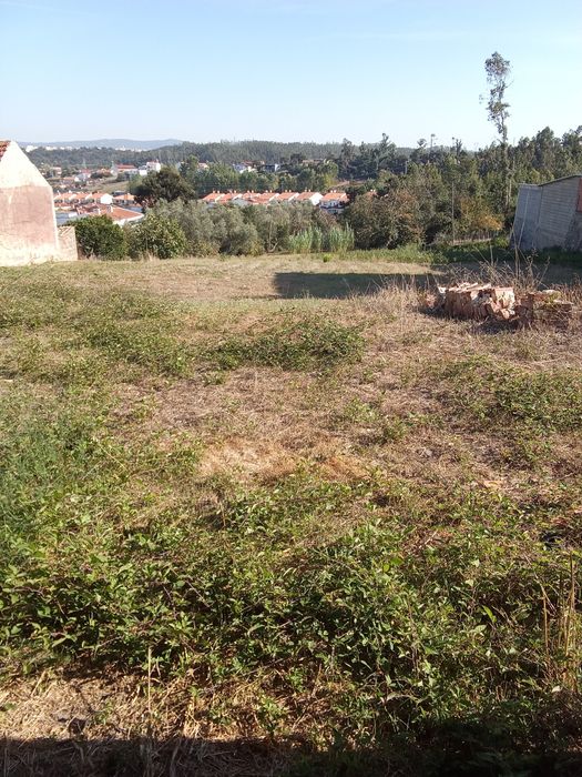 Terreno para construção com 3002 metros, com casa antiga para reconstruir.