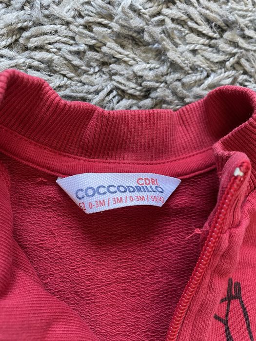 Dwupak bluz Coccodrillo 62