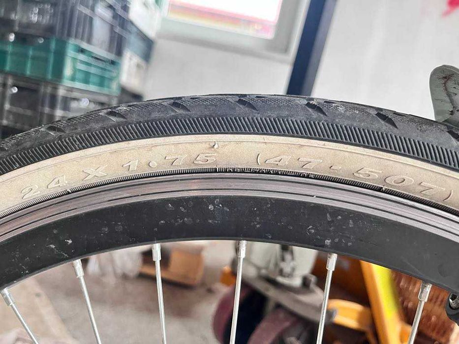 Rower młodzieżowy Zeger 24''