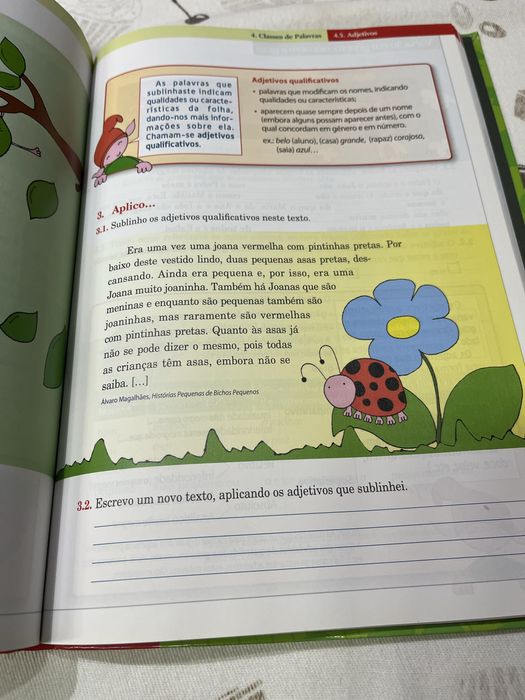 A descoberta da gramatica- livro novo nunca usado