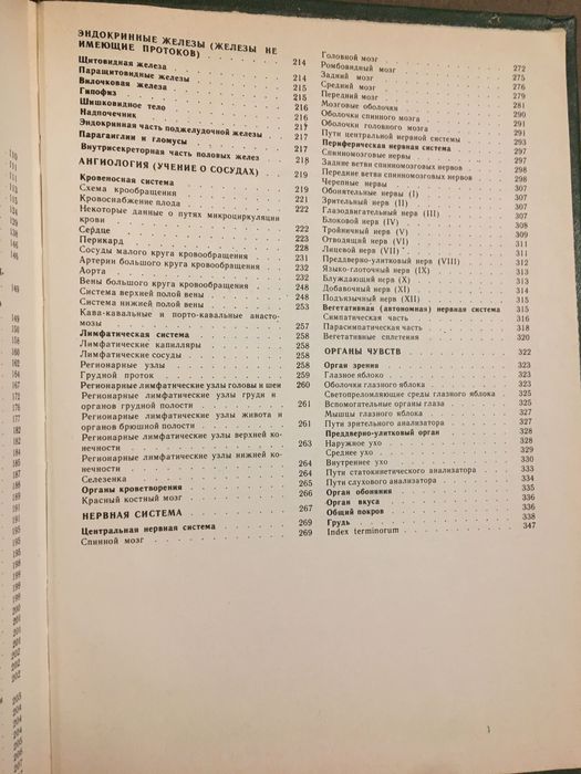 Анатомия человека. Свиридов.