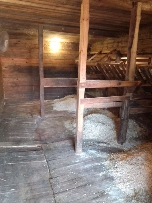 Молоко, творог, сливки, масло, згущенка з доставкою!