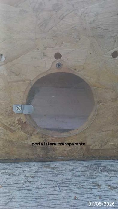 Enfermaria de Aves