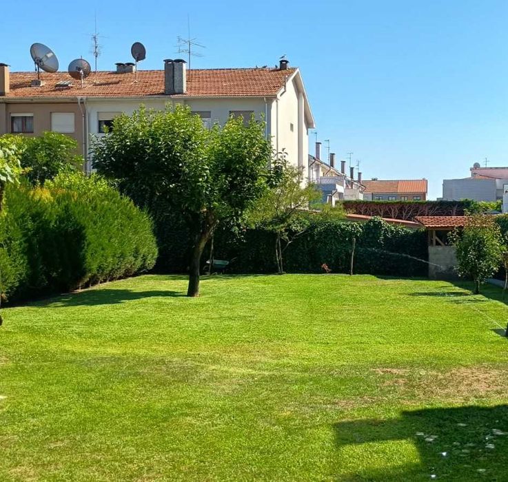 Jardineiro Em Porto/Gaia - Manutenção, Limpeza e Montagem de Jardins