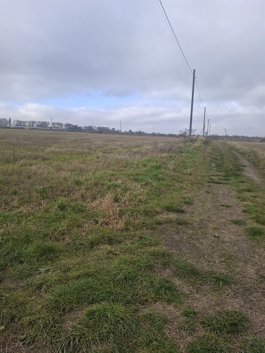 Продам Земельну Ділянку Лісові Гринівці