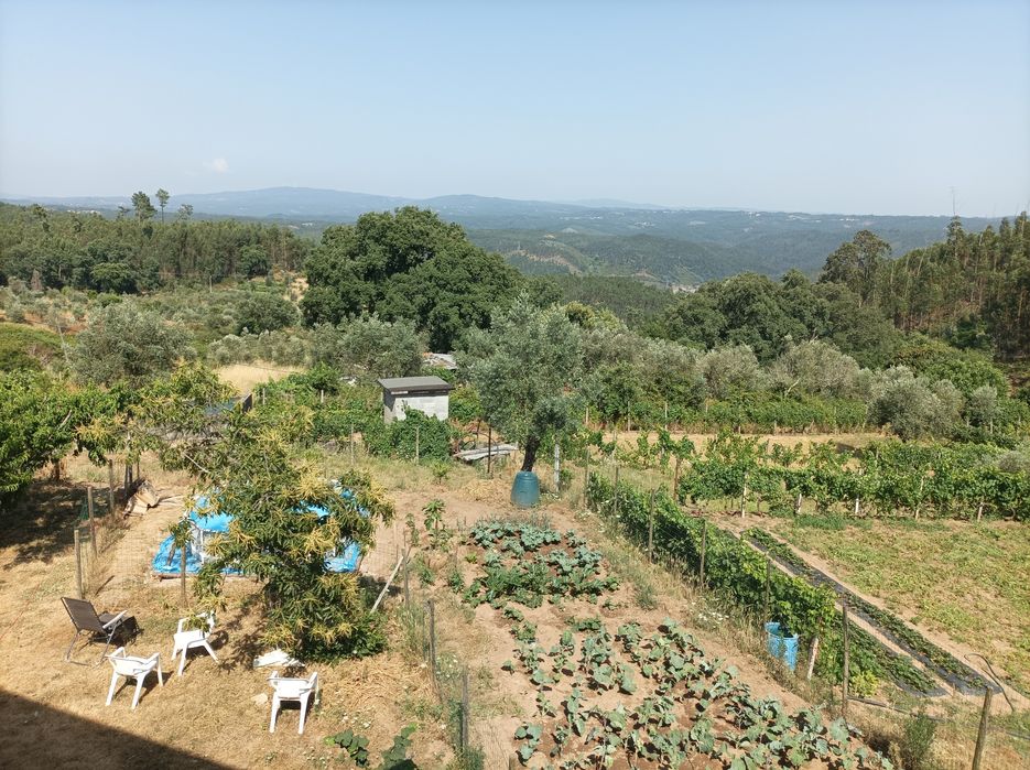 Casa para venda figueiro dos Vinhos — Figueiró Dos Vinhos E Bairradas, Leiria