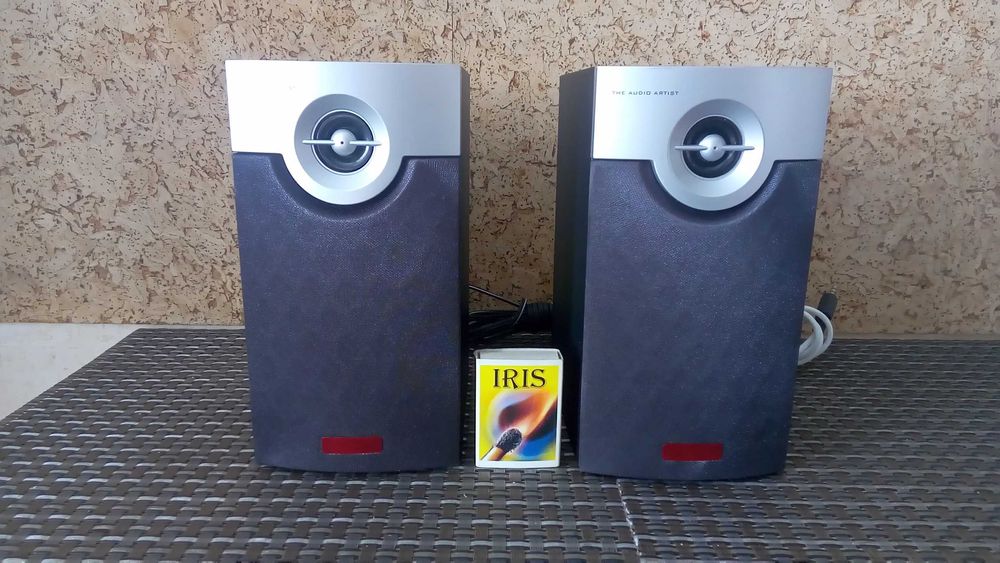 Колонки активные в рабочем состоянии.