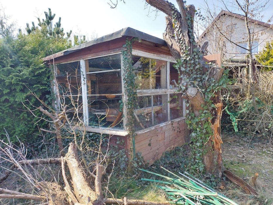 Gałęzie chrust deski drewno oddam