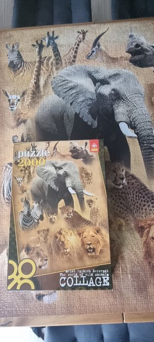 Puzzle 2000 trefl świąt dzikich zwierząt