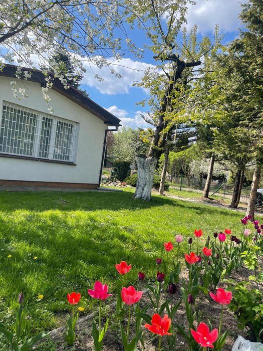 Prawo do działki ROD Poznań Ławica – murowany domek, ogród, taras, studnia