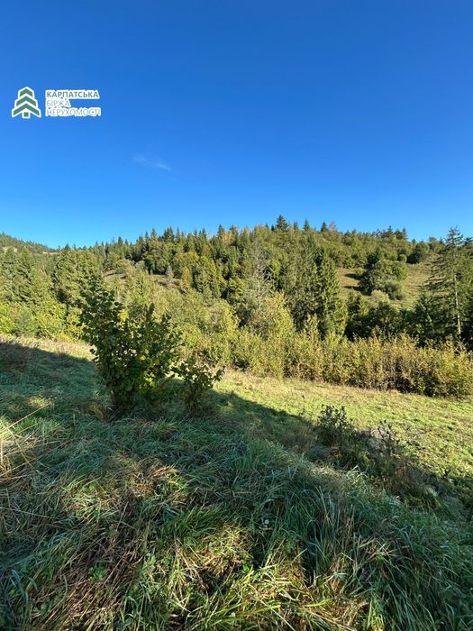 Земельна ділянка в гірському селі Нижній Студенний