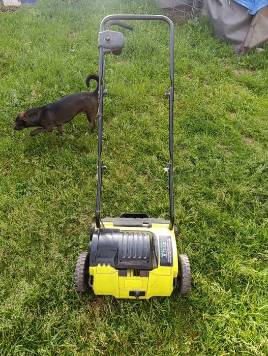 Aerator wertykulator