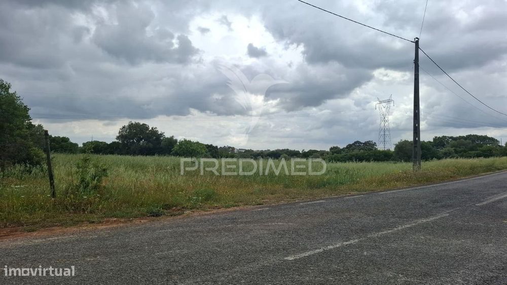 Terreno Rústico com 2,19 ha em Achete, Santarém. — São Vicente Do Paul E Vale De Figueira, Santarém
