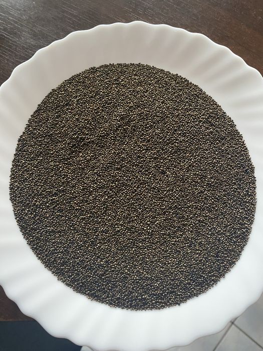 Cząber nasiona 2025