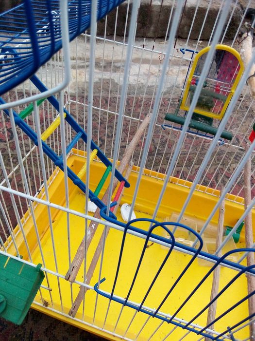 Продается Клетки для птиц