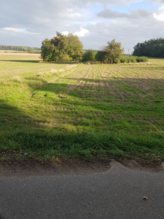 Grunty rolne 5.29 ha bezpośrednio od właściciela