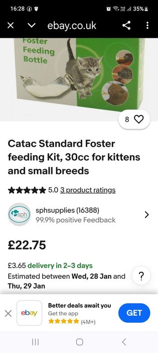 Buteleczka do karmienia kociego oseska