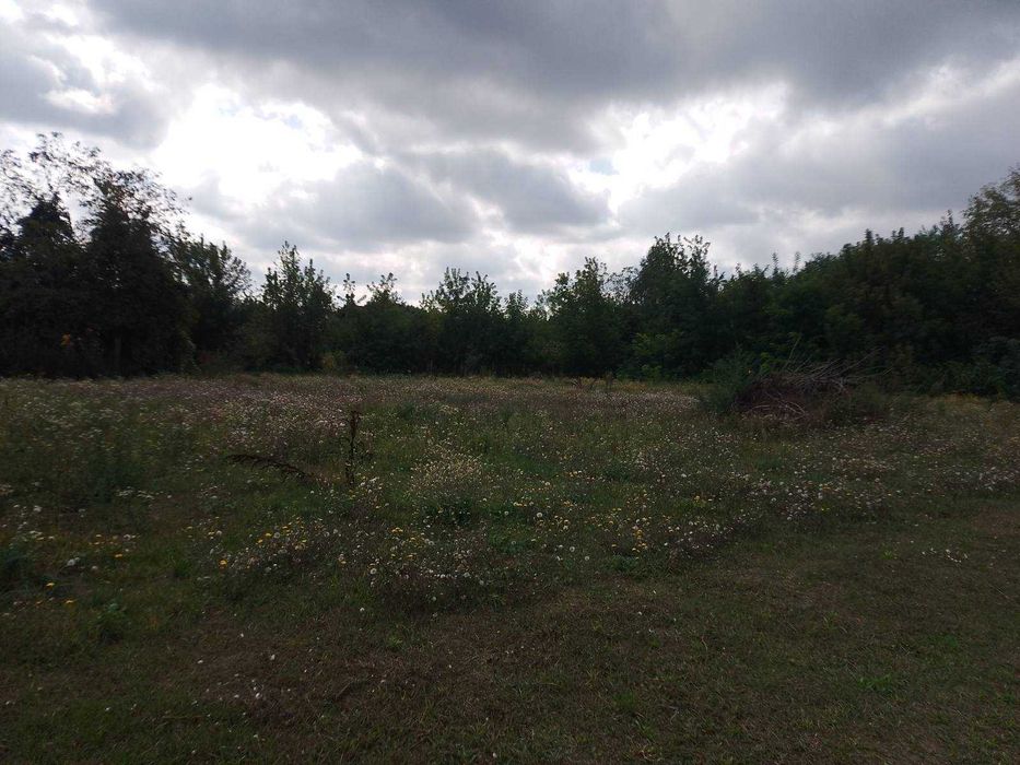 Участок 25 соток під забудову в Старих Безрадичах. 16 кВт, газ, 200м до озера та лісу!