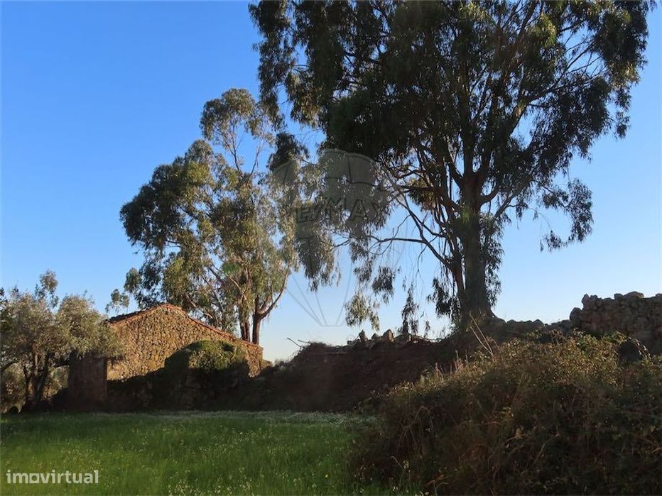 Quinta  para venda — Vale De Prazeres E Mata Da Rainha, Castelo Branco