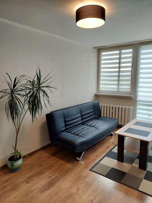 Apartament 59  Bielawa Centralna Sudety, noclegi