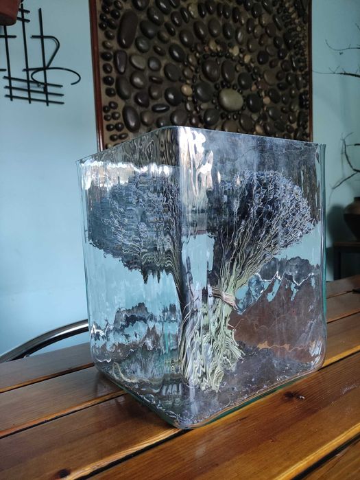 Стеклянная емкость 12 литров.