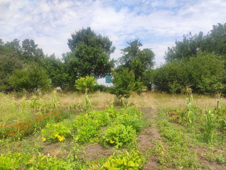 Продам будинок у смт. Обухівка, ділянка 33 сотки