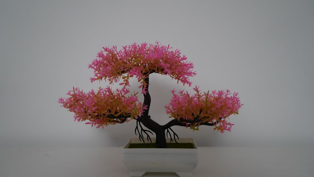 Bonsai planta artificial