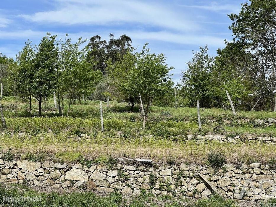Terreno em Vouzela e Paços de Vilharigues de 26750,00 m2