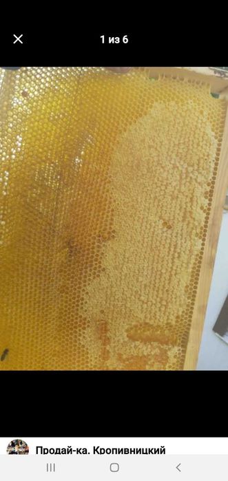 Мед фасований по 1 літ. Різнотравя сояшник.