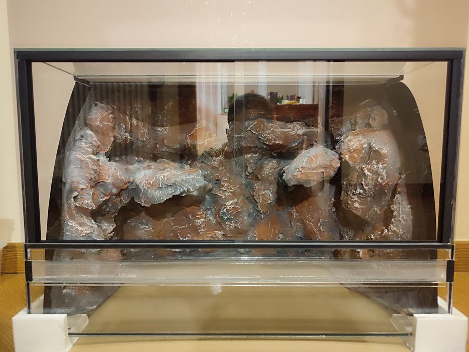 Terarium 60x40x40 dla gekona