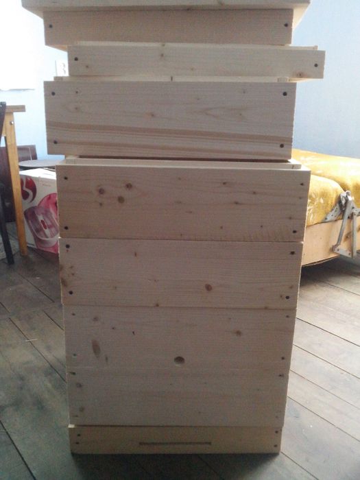 Вулики дадан двокорпусні з магазином