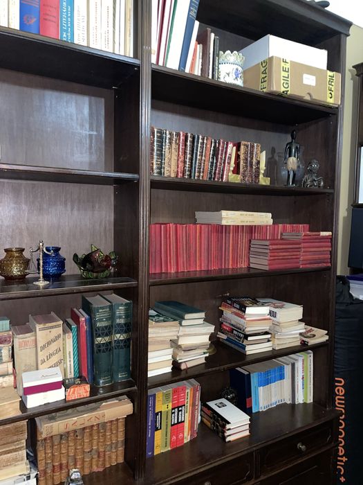 Estantes em madeira maciça com gavetas e portas