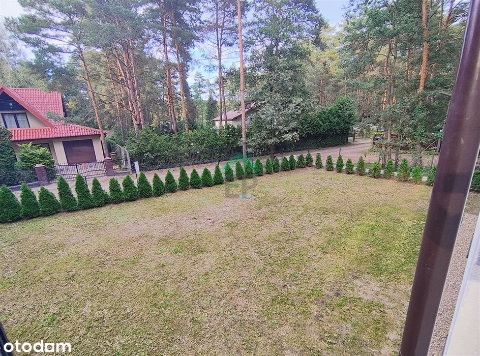 Zdjęcie 7