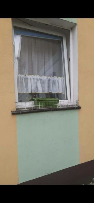Zdjęcie 3