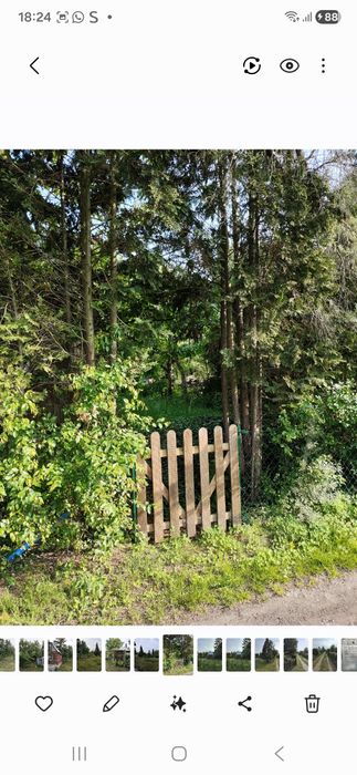 Ogród działkowy ekologiczny 375m Białystok - Widok 3