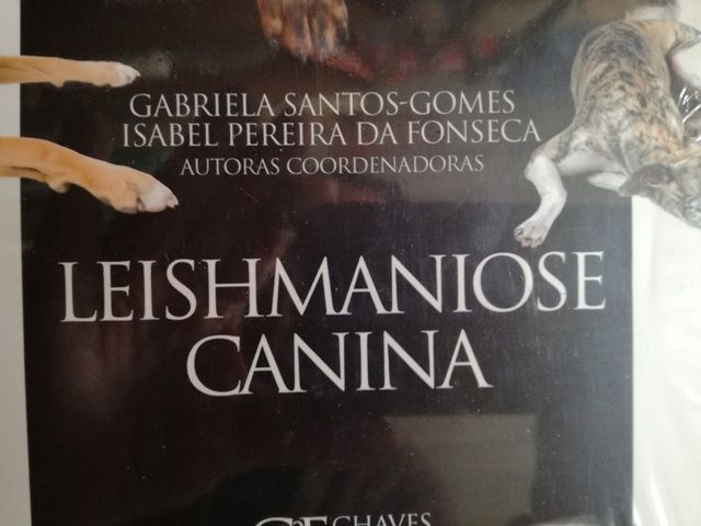 Leishmaniose Canina