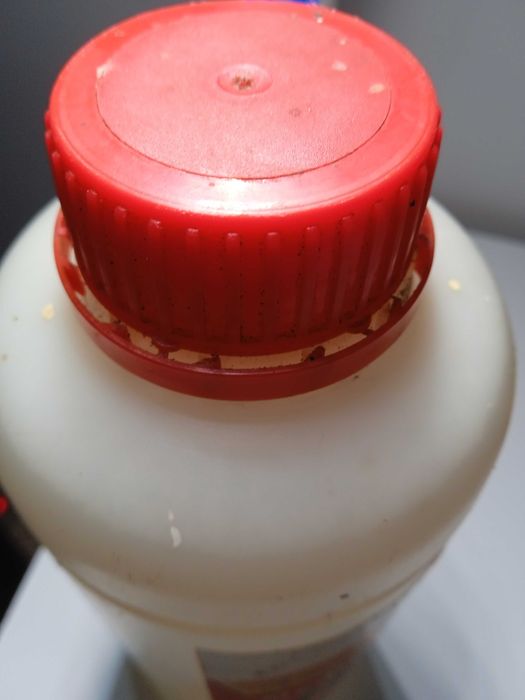 Środek do usuwania mchów i porostów