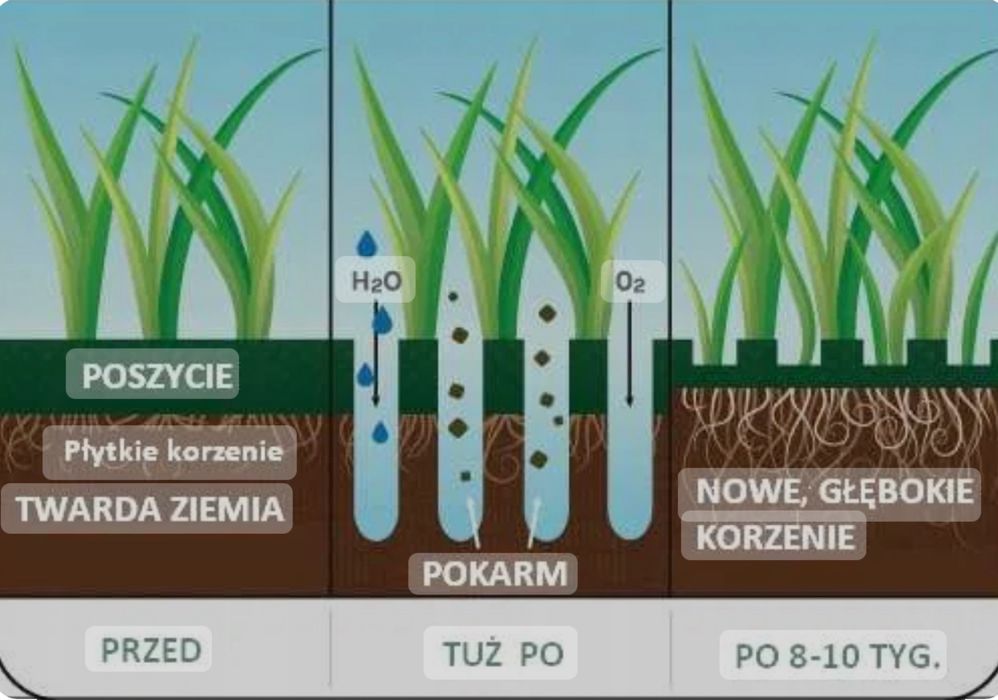Wynajem Aerator rurkowy weibang aeracja wertykulacja skaryfikacja