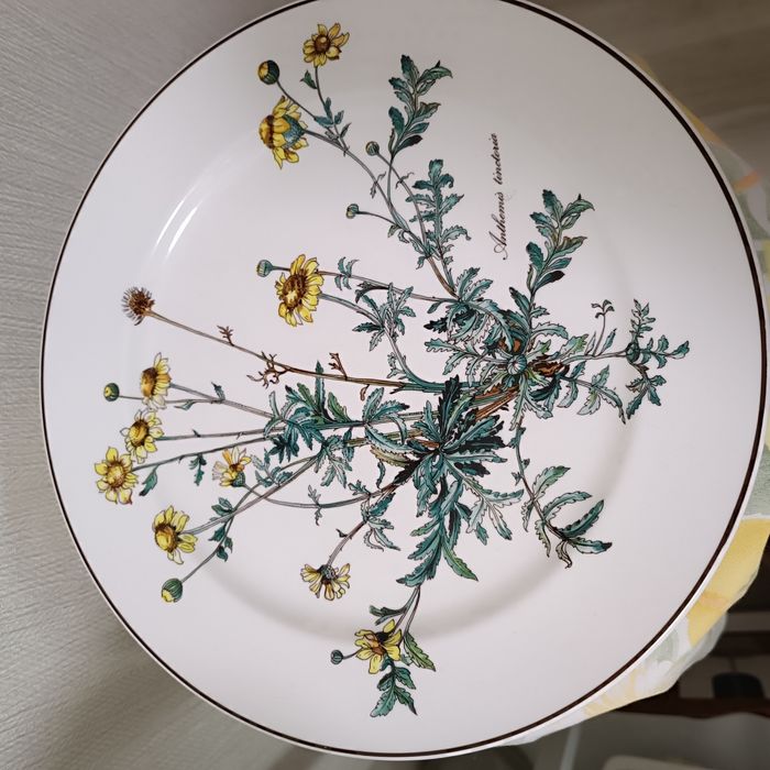 Villeroy&Boch в ідеальеому стані